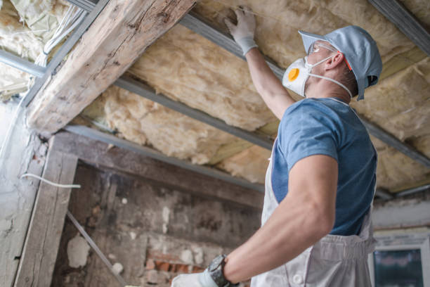 Best Insulation for Specific Applications in Alhambra, CA
