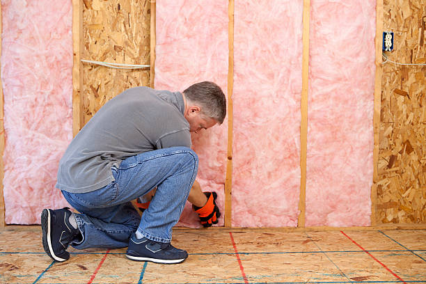 Best Insulation Installation Services in Alhambra, CA